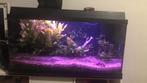 Aquarium plant, Ophalen, Zo goed als nieuw, Plant(en), Steen of Hout