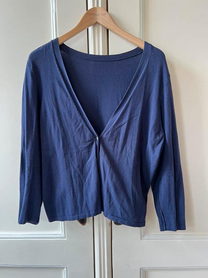 Expresso vest 77% viscose blauw, maat XL/42, Kleding | Dames, Truien en Vesten, Zo goed als nieuw, Maat 42/44 (L), Blauw, Ophalen of Verzenden