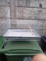 Kooi / badje, Dieren en Toebehoren, Vogels | Hokken en Kooien, Ophalen, Vogelkooi