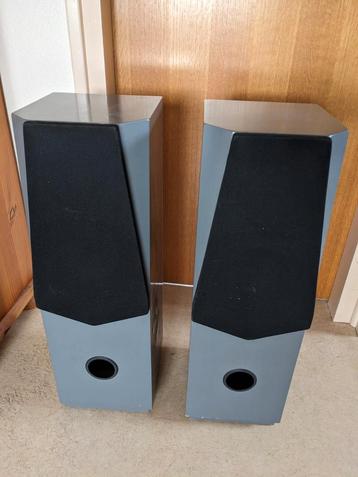 SEAS/Davis Acoustics zelfbouw luidsprekers beschikbaar voor biedingen