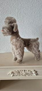 Grote Steiff Poedel - Vintage Knuffel, Ophalen of Verzenden