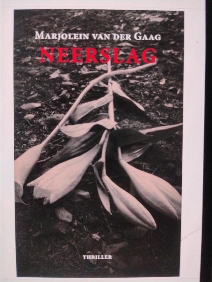 Marjolein van der Gaag - Neerslag, Boeken, Thrillers, Zo goed als nieuw, Nederland, Ophalen of Verzenden