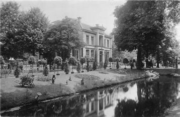 (386-254-011) Dordrecht Kwekerij Rozenburg beschikbaar voor biedingen