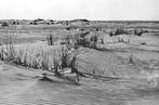 958054	Nes op Ameland	Oerd	1950	Gelopen met postzegel, Ophalen of Verzenden, 1940 tot 1960, Gelopen, Waddeneilanden