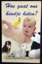 Hoe gaat ons kindje heten ACA Lemmers naamgeving naamduidin, Ophalen of Verzenden, Zo goed als nieuw