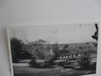 8380 Seters, 't hoefke Setersebergen, Verzamelen, Ansichtkaarten | Nederland, Verzenden, 1940 tot 1960