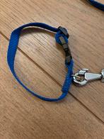 Puppy riem blauw, Ophalen of Verzenden, Nieuw