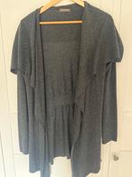 Grijze Repeat Vest, maat S, Kleding | Dames, Ophalen of Verzenden, Zo goed als nieuw, Maat 38/40 (M), Grijs