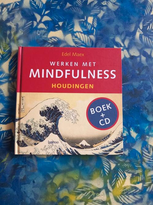 Edel Maex - Werken met mindfulness - Houdingen (incl. cd), Boeken, Esoterie en Spiritualiteit, Zo goed als nieuw, Instructieboek