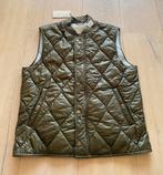 Burberry brit L nieuw, Maat 52/54 (L), Nieuw, Ophalen of Verzenden, Burberry