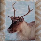 Winterse canvasset ️, Minder dan 50 cm, Ophalen of Verzenden, Minder dan 50 cm, Print