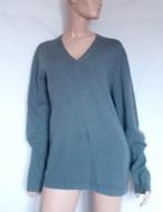 CLOSED CASHMERE Trui , Maat XL, Kleding | Dames, Verzenden, Zo goed als nieuw, Maat 42/44 (L), Grijs