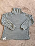 Coltrui Zara maat 128, Kinderen en Baby's, Ophalen of Verzenden, Zo goed als nieuw, Jongen of Meisje, Shirt of Longsleeve