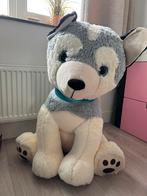 Beanie boo knuffel Husky groot in zeer goede staat, Kinderen en Baby's, Speelgoed | Knuffels en Pluche, Ophalen, Zo goed als nieuw