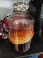 Skoby scoby kombucha starter, Ophalen