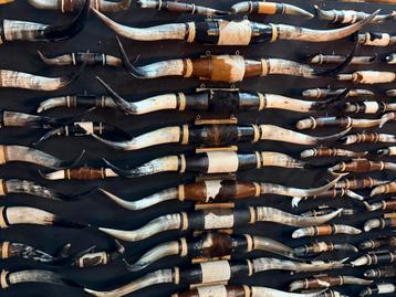 Hoorns longhorn texas mancave bullbar western beschikbaar voor biedingen