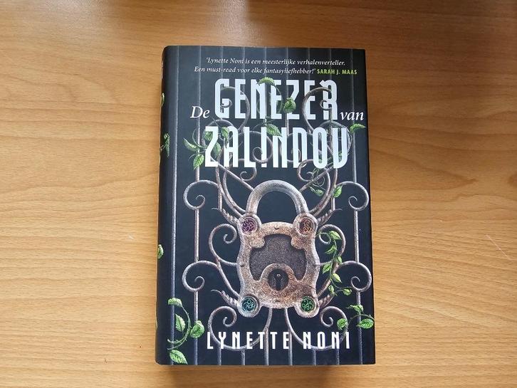 De Genezer van Zalindov - boek 1, Boeken, Fantasy, Zo goed als nieuw, Ophalen of Verzenden