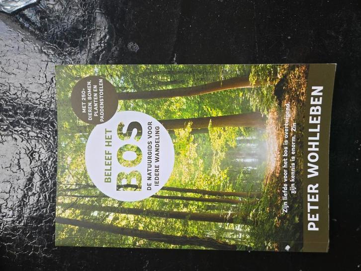 Peter Wohlleben - Beleef het bos, Boeken, Natuur, Zo goed als nieuw, Vogels, Ophalen of Verzenden