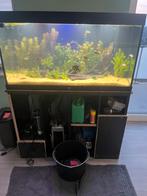 Juwel 350 compeet, Ophalen, Zo goed als nieuw, Leeg aquarium