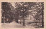 JK415 Scherpenzeel weg nr Renswoude ca 1920, Verzenden, Voor 1920, Ongelopen, Gelderland