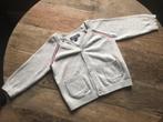 Prachtig vestje van tommy hilfiger, grijs, maat 68., Ophalen of Verzenden, Truitje of Vestje, Jongetje of Meisje, Tommy Hilfiger