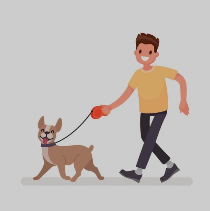 Honden uitlaatservice aangeboden // dogwalker, Diensten en Vakmensen, Dieren | Honden | Verzorging, Oppas en Les, Particuliere oppas