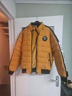 Heren Winterjas - Maat L, Maat 52/54 (L), Zwart, Ophalen of Verzenden, Gedragen