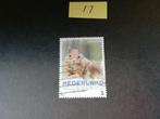 NEDERLAND PERSOONLIJKE POSTZEGEL EEKHOORN GESTEMPELD, Postzegels en Munten, Postzegels | Nederland, Na 1940, Ophalen of Verzenden