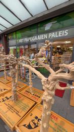 Javaboom voor de kromsnavel, Ophalen, Nieuw, Hout, Volière