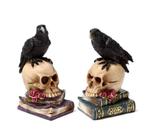 Kraai op skull, Schedel & Boeken - Kunsthars Decoratie, Ophalen of Verzenden, Nieuw, Overige typen, Halloween of Griezel