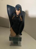 DC Comics Raven bust, Verzamelen, Ophalen of Verzenden, Zo goed als nieuw, Mens