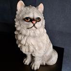 Harvey Knox Rare Persian Manx Cat, Ophalen of Verzenden, Gebruikt, Dier