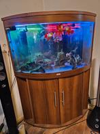 Hoekaquarium Juwel 190 te koop ivm aanschaf andere, Dieren en Toebehoren, Vissen | Aquaria en Toebehoren, Ophalen, Gebruikt, Leeg aquarium