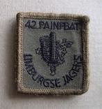5x5 embleem  Limburgse Jagers, Verzamelen, Ophalen of Verzenden, Landmacht, Nederland, Embleem of Badge