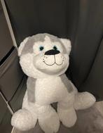 Grote XXL Husky Knuffel, Ophalen, Zo goed als nieuw, Hond