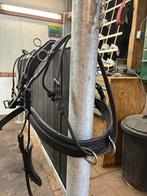 Ideal combinatie tuig pony maat dubbelspan, Dieren en Toebehoren, Ophalen of Verzenden, Zo goed als nieuw, Overige soorten
