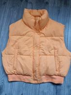 Oranje bodywarmer Primark, maat S, Nieuw (G), Kleding | Dames, Bodywarmers, Ophalen of Verzenden, Nieuw, Maat 38/40 (M), Oranje