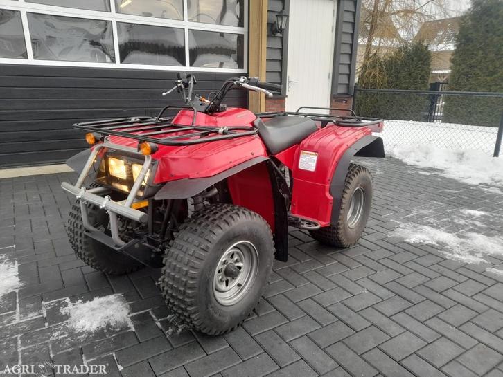 Yamaha Beartracker 250cc met autokenteken, Motoren, Quads en Trikes, 12 t/m 35 kW, 1 cilinder, Ophalen