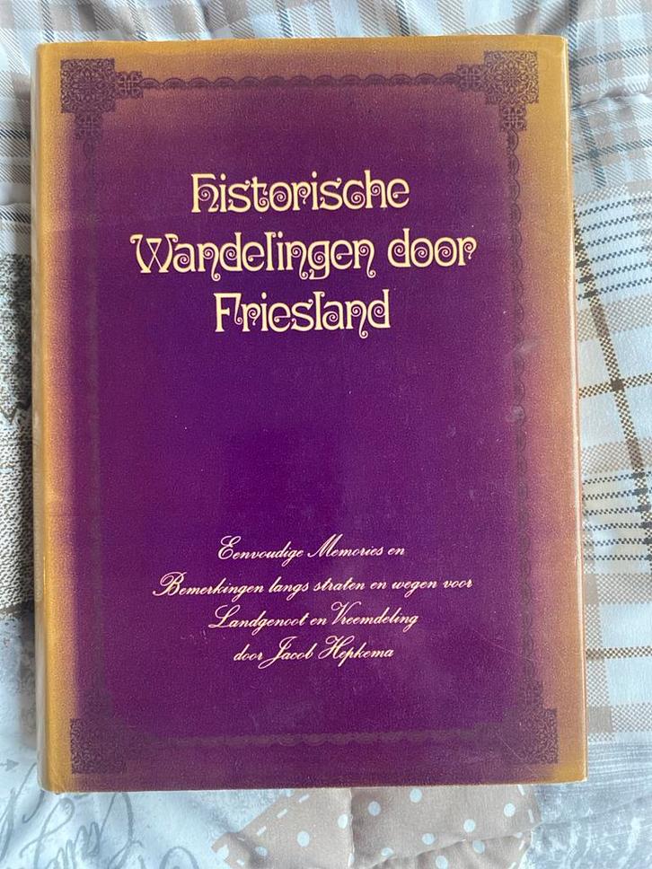 Historische Wandelingen door Friesland, Boeken, Geschiedenis | Stad en Regio, Gelezen, 20e eeuw of later, Ophalen of Verzenden