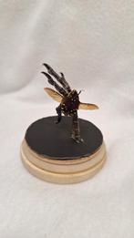 Kever op kraaienpoot in stolp, Verzamelen, Ophalen of Verzenden, Zo goed als nieuw, Insect, Opgezet dier