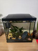 Aquarium, Ophalen of Verzenden, Leeg aquarium