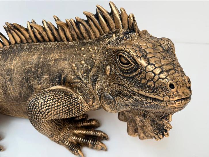 XL Leguaan sculptuur – brons/goud look – 100 x 45 cm, Antiek en Kunst, Kunst | Designobjecten, Ophalen