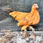 roodbruine sabelpootkriel kippen hennen, Dieren en Toebehoren, Vrouwelijk, Kip