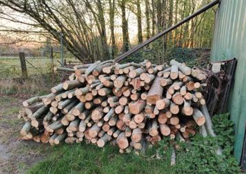 Partij kachelhout (Droog) beschikbaar voor biedingen