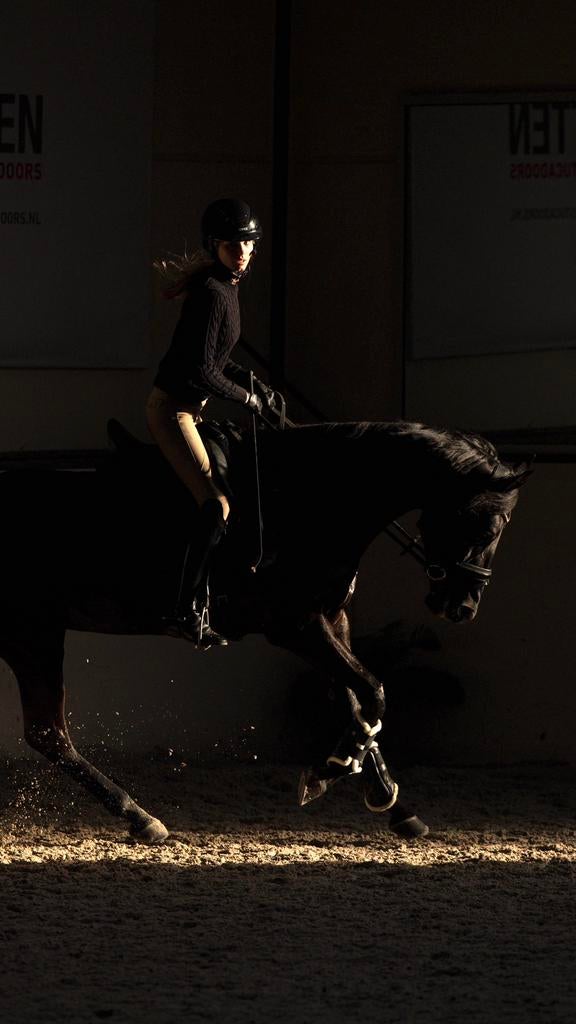 Gezocht: hulp bij verzorging (sport) paarden, Dieren en Toebehoren, Ophalen of Verzenden, Nieuw, Overige soorten