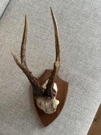 Decoratie, Verzamelen, Ophalen of Verzenden, Zo goed als nieuw