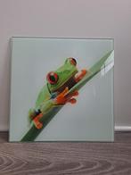 Glazen schilderij 30x30cm - Kikker, Overige materialen, Minder dan 50 cm, Ophalen of Verzenden, Zo goed als nieuw