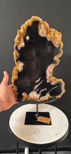 versteend hout op standaard, Ophalen of Verzenden, Mineraal