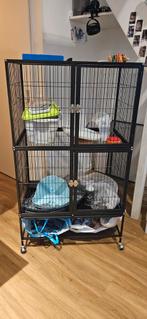 Nette knaagdieren kooi met toebehoren en accesoires, Dieren en Toebehoren, Knaagdieren en Konijnen | Hokken en Kooien, Ophalen