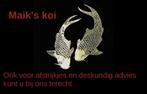 Afstrijkjes en advies aan huis voor u koi / vis 75 euro incl, Karper of Koi